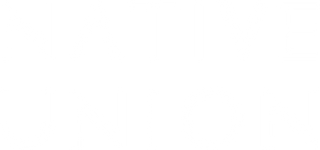 Native Union